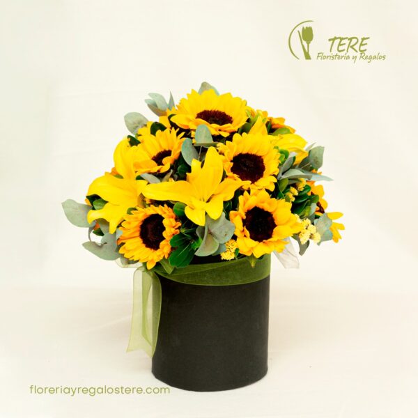 PARA MI SOL RADIANTE